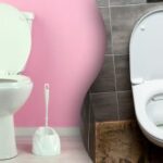 Toaletná misa sa leskne za pár minút: veľmi jednoduchý a